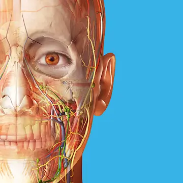 Human Anatomy Atlas 2024 Mod Apk Download